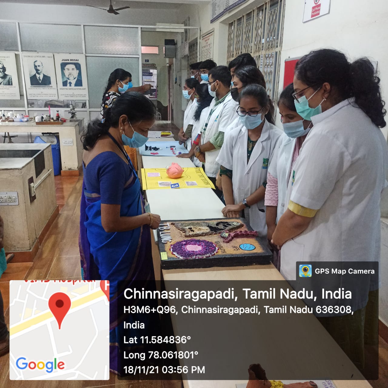 Clay Modelling Competition_18.11.2021_ International Pathology Day